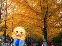 -辽东学院(南校区)