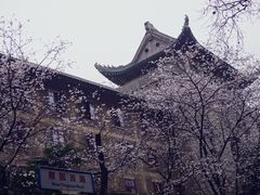 -武汉大学-樱园