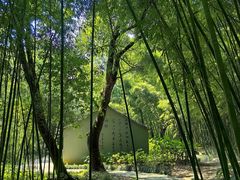 -兰亭风景区