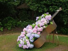 -上海共青森林公园