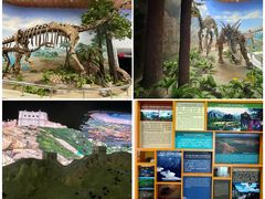 -延庆地质公园博物馆