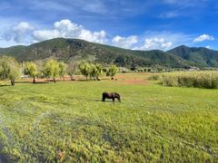 -泸沽湖国家级风景名胜区走婚桥