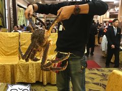 -乙龍天