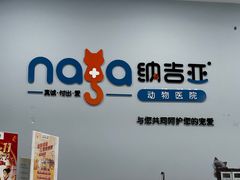 -纳吉亚猫专科动物诊疗中心(蒋宅口分院)