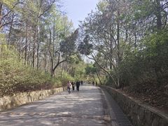 -大蜀山国家森林公园