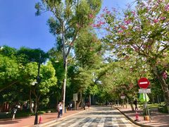-厦门大学(思明校区)