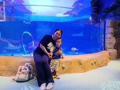 -沈阳海洋探索中心