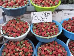 -五里多农博广场