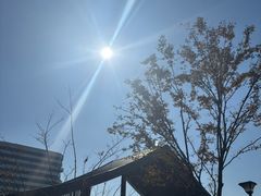 -美兰湖景区