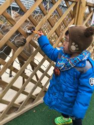 -萌宠亲子动物乐园(槐房万达店)