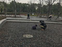 景点-南翔镇银翔湖公园