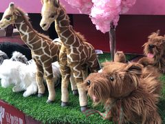 -当当梅溪书院(步步高梅溪新天地店)