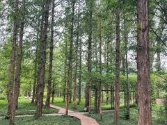 -国家植物园南园