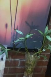 -时尚殿堂·颜SPA