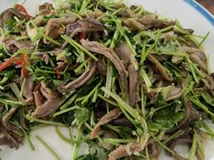 -独流饭店(静海区国土资源分局西)