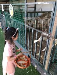 -小蜜蜂农场(凯德七宝购物广场店)