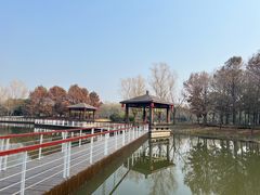 -同里国家湿地公园