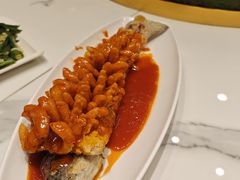 -刘胖子家常菜·蹄花焖藕(中南店)