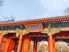 -博雅塔