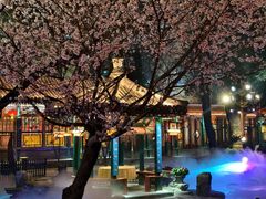 -白家大院·王府宫廷菜(苏州街店)