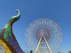 -七彩云南欢乐世界