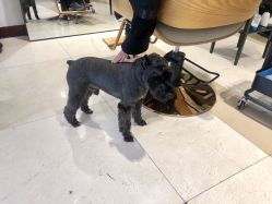 -Hello Lady发型设计