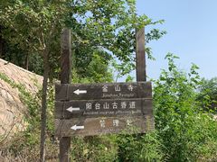 -阳台山自然风景区