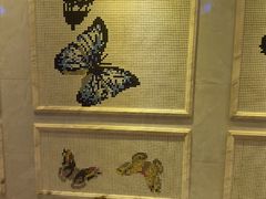 -畅想国度(黄埔店)