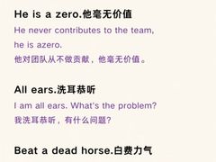 -新东方斯芬克艺术留学作品集培训(郑州校区)