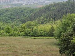 -敬亭山风景名胜区