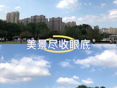 -青枫公园