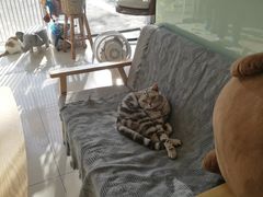 -平行世界·猫咖(首经贸店)