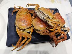 -聚味瞿记·龙虾堂(梅溪湖店)