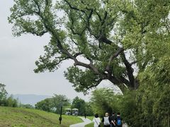 -良渚古城遗址公园