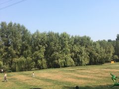 -长白岛森林公园