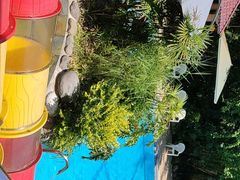 -花水湾第一村温泉大酒店