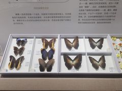-烟台市博物馆