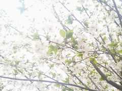-武商摩尔影城(国广IMAX激光店)