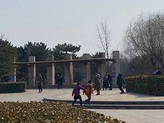 -绿堤公园