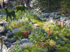 -上海共青森林公园