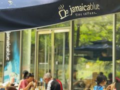 -JamaicaBlue(新城国际店)