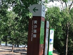 -东郊湿地公园
