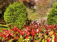 -秦岭终南山世界地质公园翠华山景区