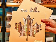 -Laderach 莱德拉(上海环贸iapm店)