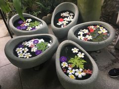 -100蛋泥浆浴