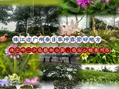 -二沙岛艺术公园