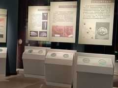 -辽宁古生物博物馆