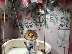 -西檬树SIMON·T轻奢蛋糕(大东方Max店)