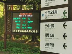 -黄海国家森林公园