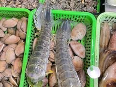 -凯华海鲜火锅·传承三十六年